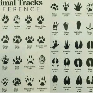 Meet your Posher, Sean